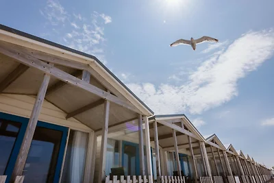 Strandhaus in Wijk aan Zee mit Meerblick