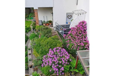 Appartamento per vacanze con 1 camera da...