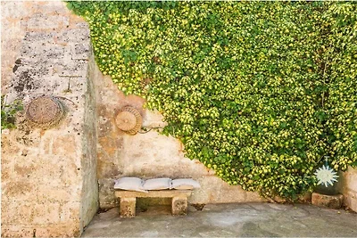 Corte della Masseria