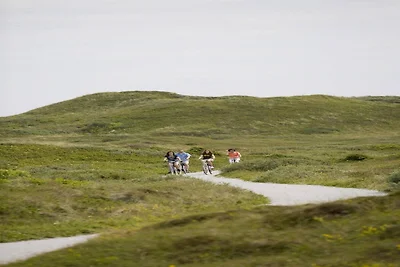 Casa vacanze indipendente situata a Texel
