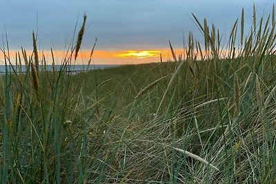 Oko-Ruckzug mit Spa -- By Traum...