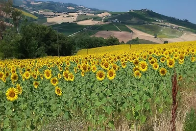 Casa vacanze a Cossignano, piscina