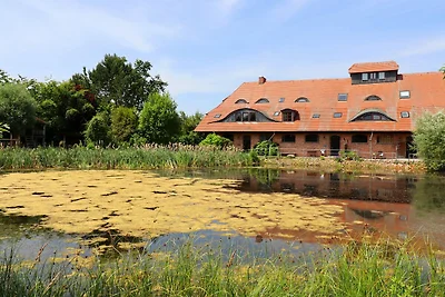 Ferienwohnung mit Sauna in Buschenhagen