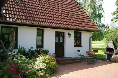 Schönes Ferienhaus in Dargun mit Pool