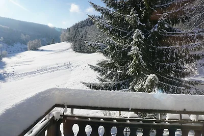 Ferienhaus im Sauerland