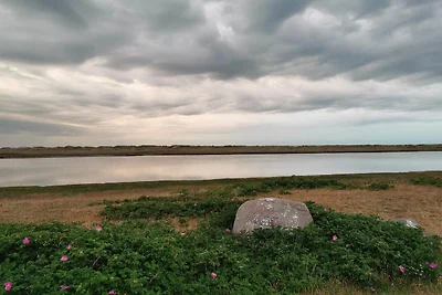 12 persoons vakantie huis in Læsø-By Traum