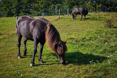 6 Personen Ferienhaus in Aabenraa-By Traum