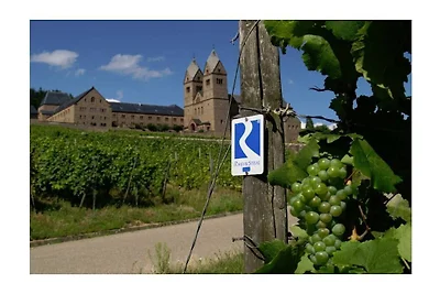 Ruby - Weingut werk2