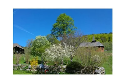 Domek letniskowy Urlop wypoczynkowy Bernau im Schwarzwald