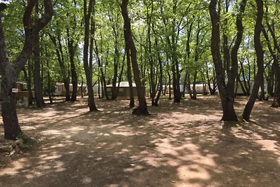 Lussuosa villa provenzale a St.