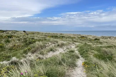 6 persone case ad Hadsund-By Traum