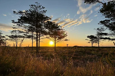 4 sterren vakantie huis in Hals