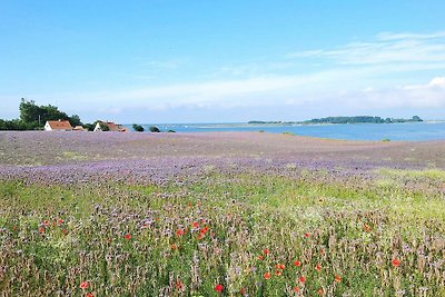 5 sterren vakantie huis in Assens