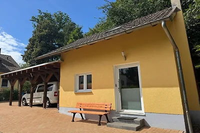 Zwergschläfer || Bad Sachsa