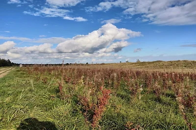 4 Sterne Ferienhaus in Væggerløse-By Traum
