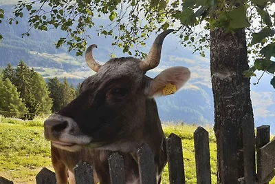 Vacanza in fattoria a Pichlhof