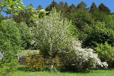 Ferienwohnung mit 1 Schlafzimmer