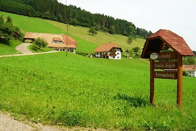 Ferienwohnung in Hofstetten inmitten der...