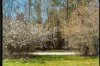 5 esrellas case en Aakirkeby