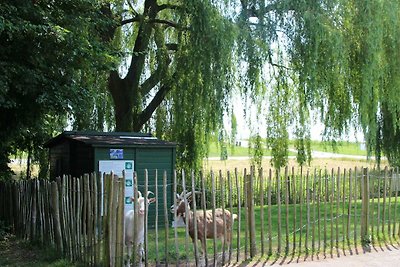 Wellness-Bungalow mit Whirlpool und Sauna