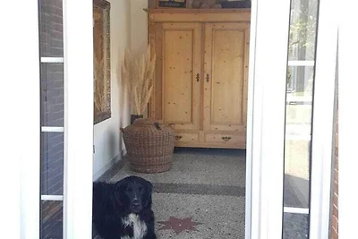 FeWo Nero Komfortable Ferienresidenz