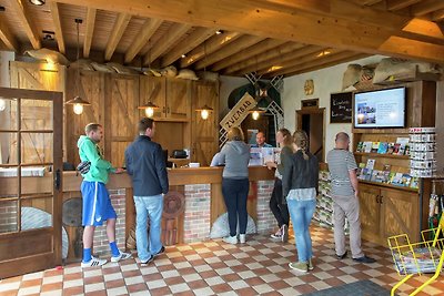 Modernes Ferienhaus, Alkmaar, 15 km entfernt