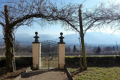 Ruim appartement in Venetiaanse villa met...