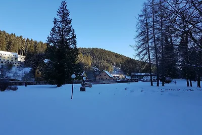 Ferienwohnung im Oberharz in Wildemann
