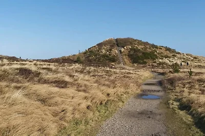 6 persone case ad Henne-By Traum