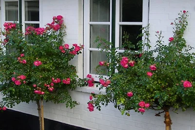 "The Coachman's Cottage"