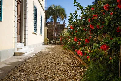 Wohnung in Lucca nahe Villa Bottini