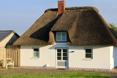 Ferienhaus mit 3 Schlafzimmer