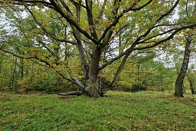 6 persone case ad Store Fuglede-By Traum