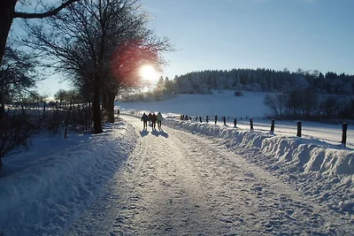 Auf dem schönen Feld ||