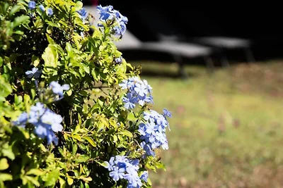 Villa in Saint-François mit Strandzugang