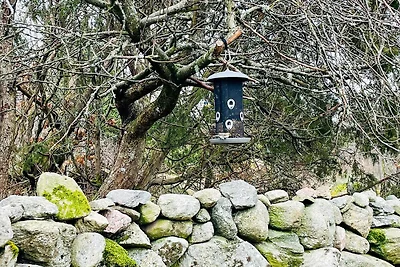 4 Sterne Ferienhaus in STILLINGSÖN