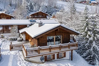 Chalet de ski familial avec vue
