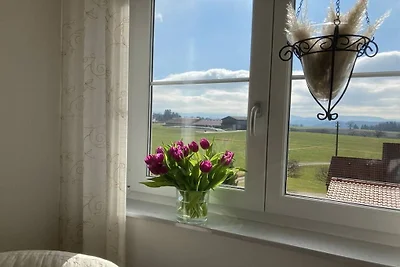 Apartament wakacyjny z 1 sypialnią