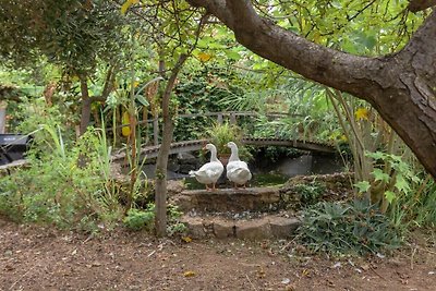 Nel giardino botanico