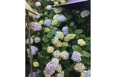 Ferienrustico „Auf Burg“