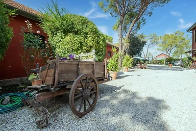 Tranquillo agriturismo con piscina a Roma