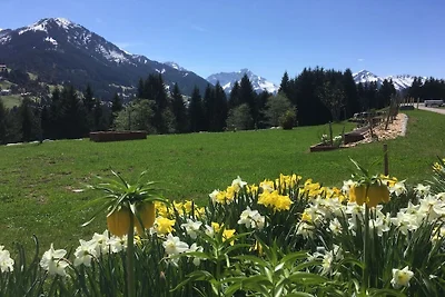 Fellhorn im Haus Narzisse