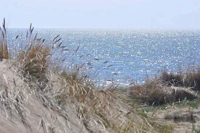 6 Personen Ferienhaus in HALMSTAD-By Traum
