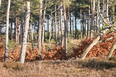 6 persoons vakantie huis in Oksbøl-By Traum