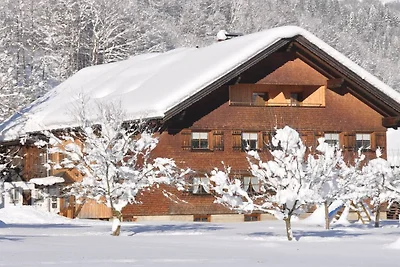 Wohnung in Mellau mit Schwimmbecken