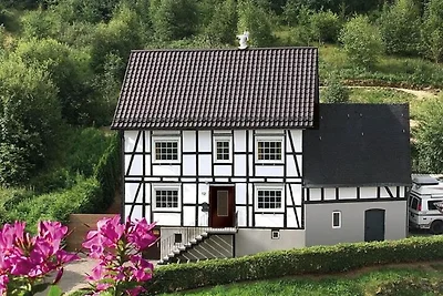 Haus Ruhrquelle Terrasse und Garage bei...