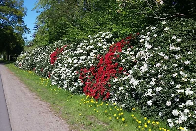 Ferienwohnung mit 1 Schlafzimmer