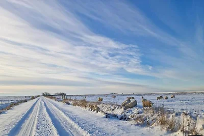 6 Personen Ferienhaus in Toftlund-By Traum