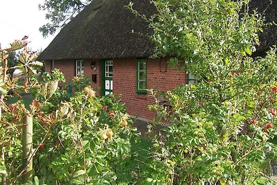 Reetdachhaus Kehl Komfortable Ferienresidenz