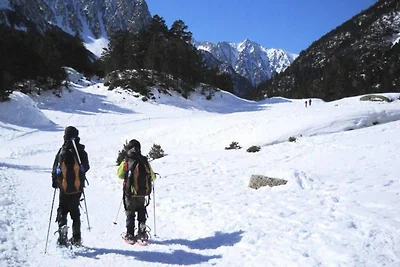 2 Teile für 4 Personen